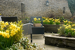 North York Moors Holiday Cottages Primrose Cottage Pickering
