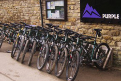Bikes for Hire