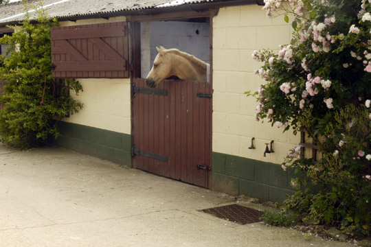 Holiday Cottage Facilities