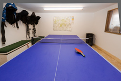 Table Tennis Available