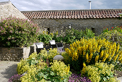 Holiday Cottage Garden