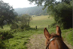 Levisham Horse Riding